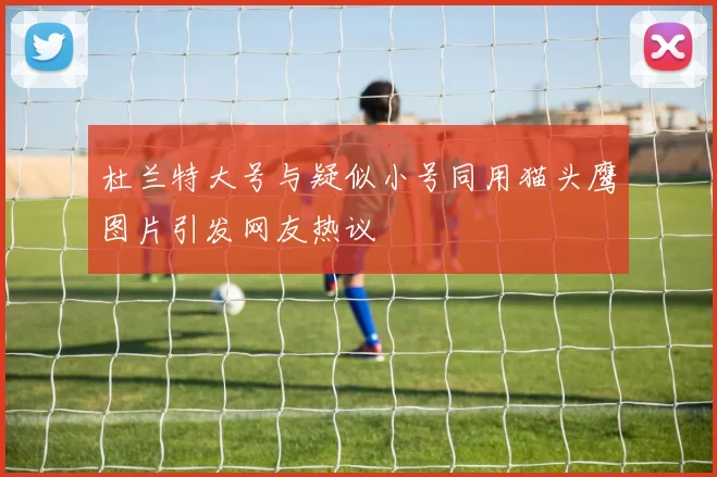 杜兰特大号与疑似小号同用猫头鹰图片引发网友热议