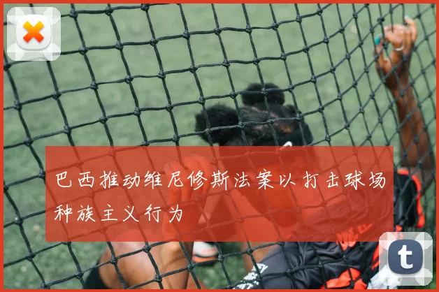 巴西推动维尼修斯法案以打击球场种族主义行为